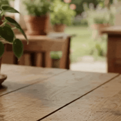 TierraFertil | Minerales para plantas, activador universal de raíces